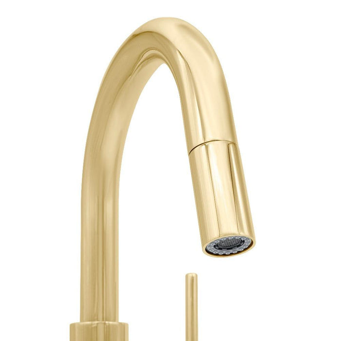 ZLINE Dante Pull Down Kitchen Faucet in Polished Gold (DNT-KF-PG)