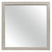 Homelegance Furniture Quinby Mirror in Light Brown 1525-6 image